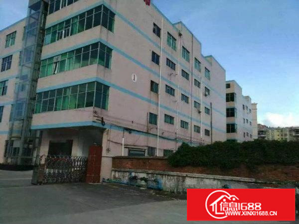 观澜梅观高速独15000平方红本独院厂房（可分租）