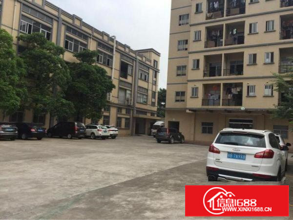 代理凤岗一手房东超靓独院出租