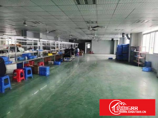 横塘新出3楼厂房1250平宿舍7间办公楼100平出租