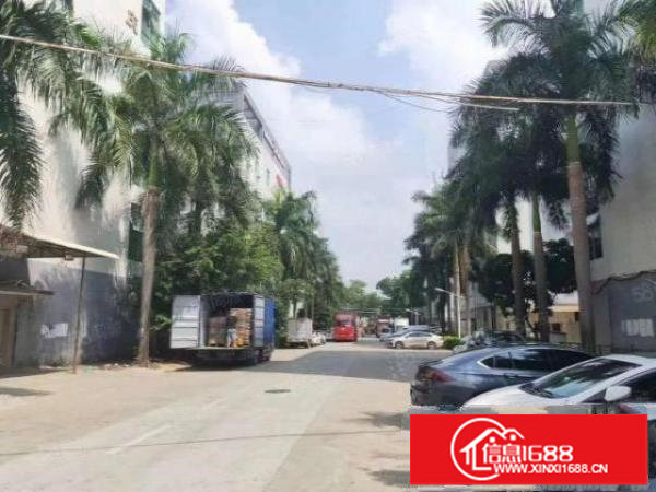 观澜松元轻轨站旁新出楼上原房东800平方带精装修实际面积出租