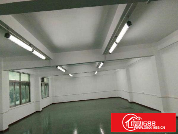 丹竹头地铁站全新厂房800平米