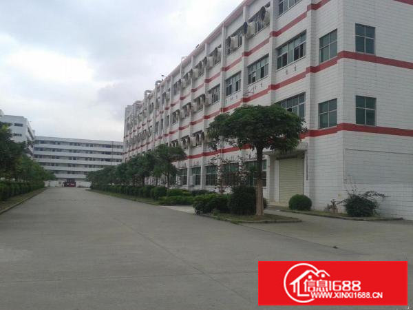 横岗永湖地铁口新出独院1一4层16300平米厂房出租可分租