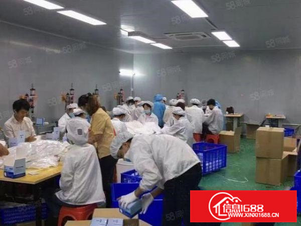 无尘车间！虎门北栅新出三楼1350平方无尘车间出租！