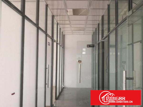 虎门金洲社区新出办公楼1800平方，适合电商，办公，环境好