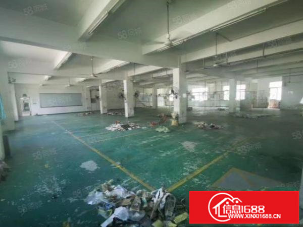 园区厂房，独门独院，形象非常好