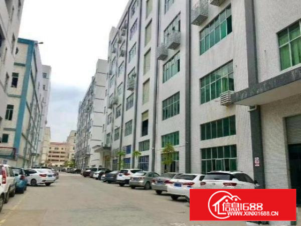 石岩水田龙大高速出口新出2160平方红本厂房出租