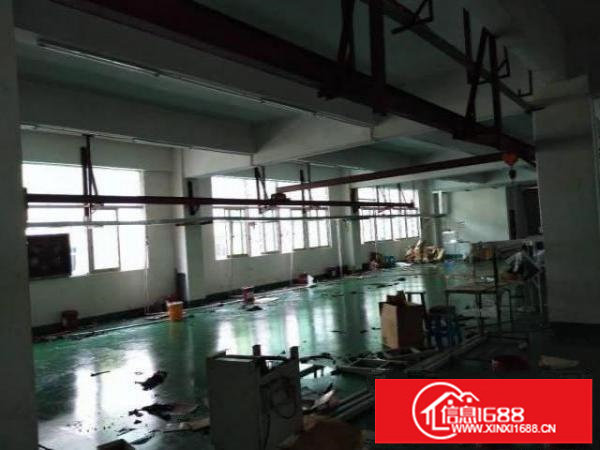 龙岗区坪地楼上新出910平精装修带消防喷淋厂房，面积实在，新