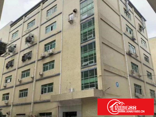 横岗六约原房东新出150和260平方小面积厂房出租