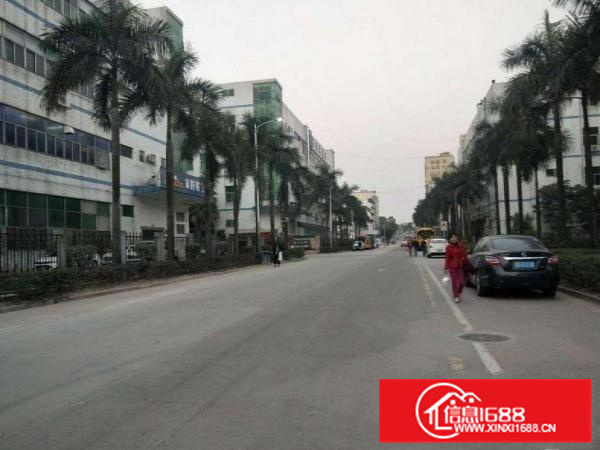 惠阳镇隆原房东三楼整层1300平方可分租