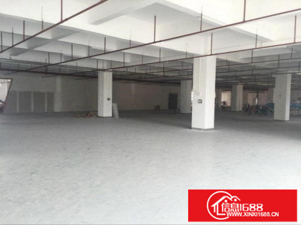 新出一楼厂房出租龙岗厂房招租可分租