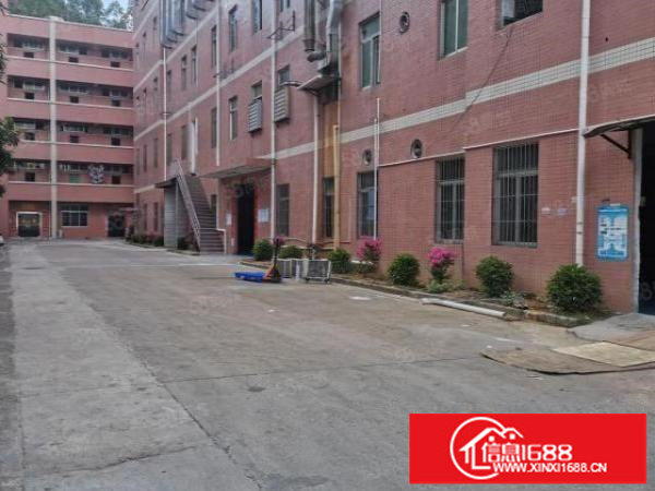 横岗大康社区独门独院厂房8500平方出租，带全新地坪漆