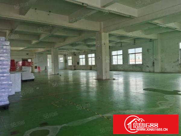 碧岭原房东独院分租3楼980平厂房，有水电有地漆有红本