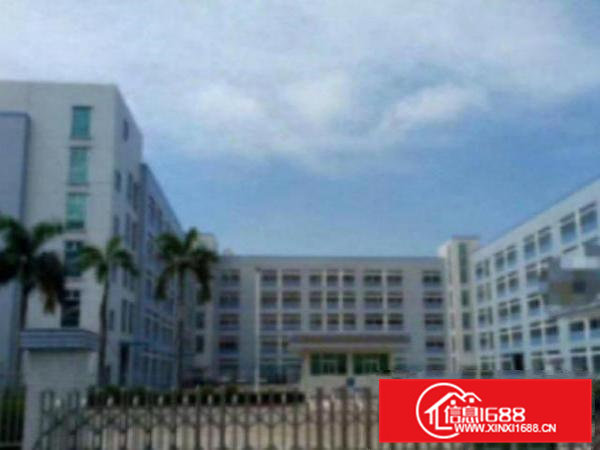 高埗带地坪漆水电现成装修一楼厂房2000平出租