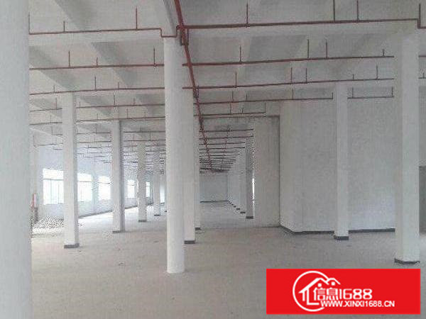 坂田全新花园式独门独院1500平起可分租