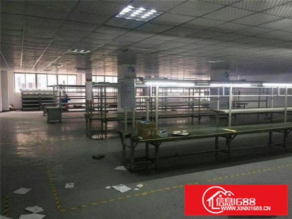 惠州惠阳镇隆205国道边上二楼整层650平方有电梯