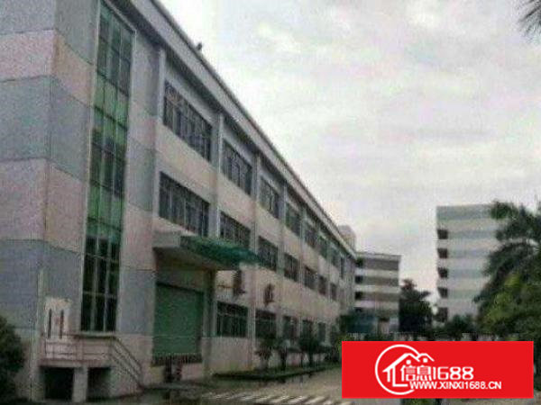 高埗新出红本独院标准厂房3层10000平方出租可办环评