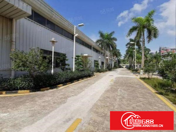 坂田杨美地铁口工业园一楼钢构厂房1900平米，650平米出租