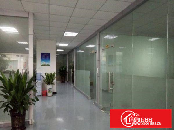 清溪谢坑工业区新出6米高一楼1100平方厂房出租