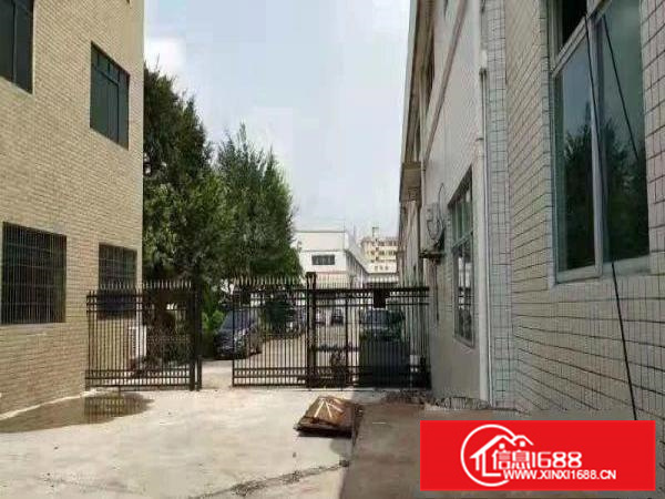 博罗义和原房东单一层砖墙到顶9米1300平方厂房招租