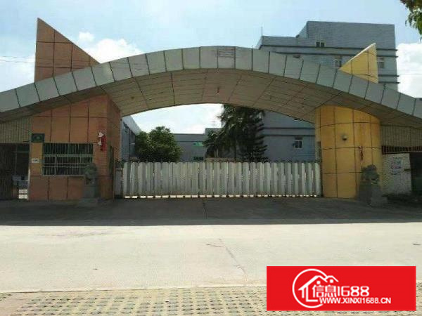 原房东招租!红本大亚湾工业园招租!水电齐全