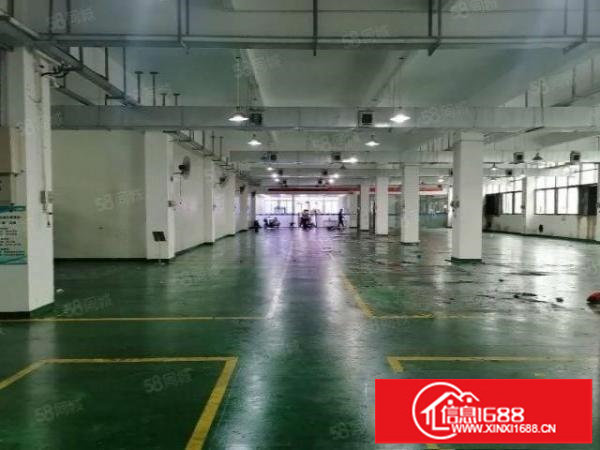 观澜五和大道旁原房东大型工业园区一楼1600平厂房出租