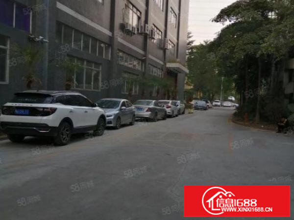 观澜樟坑径大型园区100到5000大小面积现成装修厂房出租