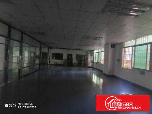 沙井新出300平带装修厂房