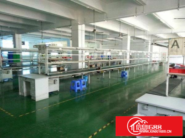 松岗107国道大田洋3路14层6800平招租