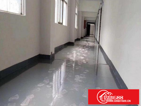 龙岗新出厂房单一层三千平500平起分租