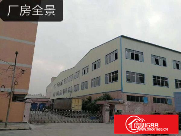 横沥新盘招商带消防，环评，形象好，空地大大小可分租