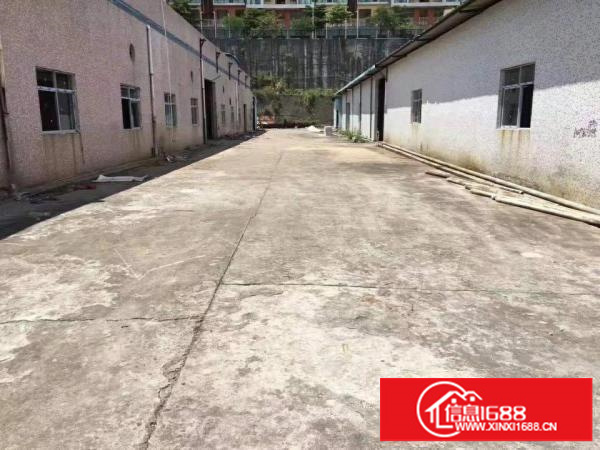 横岗安良独院钢构厂房出租