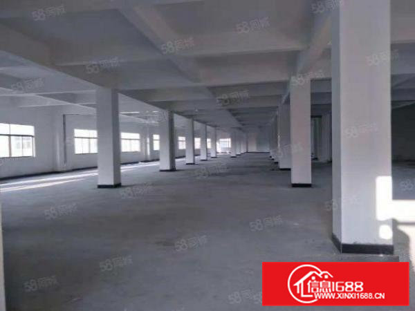 大岭山原房东全新独栋650平方标准厂房出租无公摊水电齐全