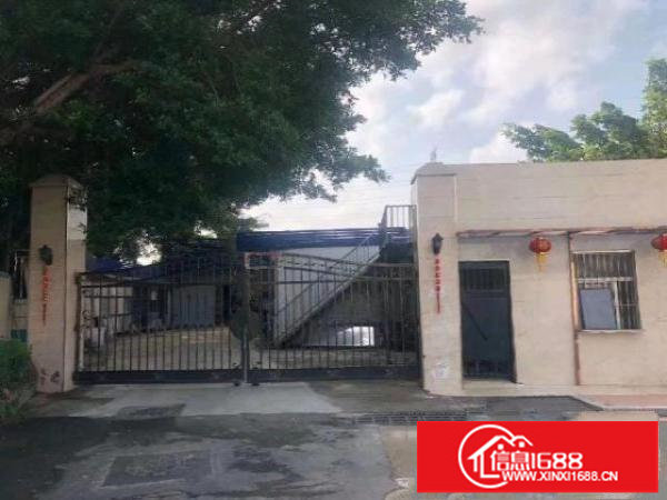 黎光一楼2200平米独院出租租金26元