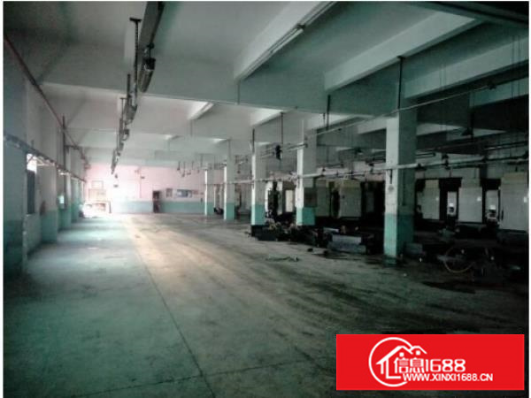 [坪山厂房]坪山碧岭独院厂房4000平(可分租)