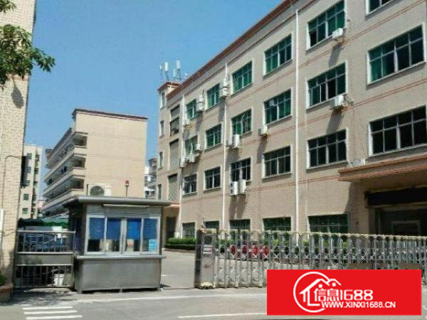 龙华高新产业园可进大车精装修可分租可办公科研仓库