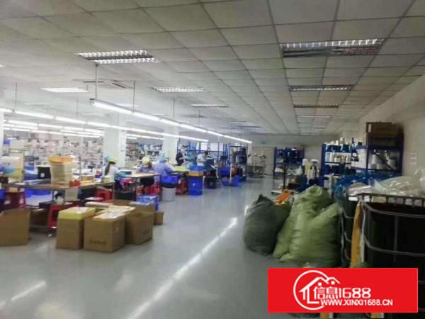 塘厦林村楼上精装修1600平领包入住