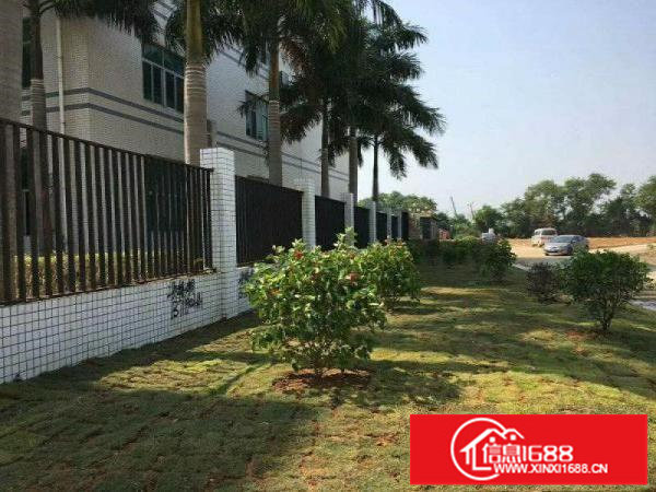 坪山石井2200平米业主自有厂房出租可分租