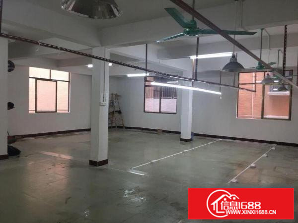 新厂房仓库写字楼招租