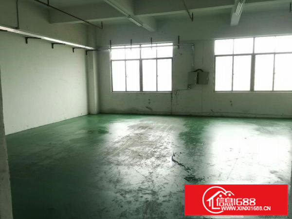 大岭山颜屋村带装修厂房1000平方