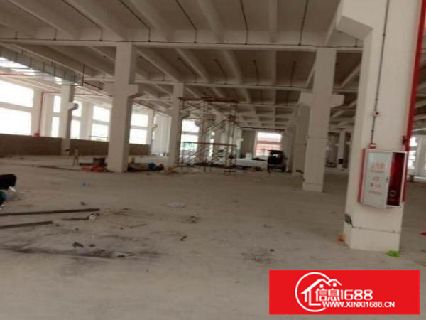 可分租有牛角位,杏坛镇全新独院15000方标准厂房