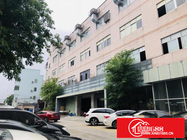 精装修！安良沙荷路边二楼1650平原房东厂房出租