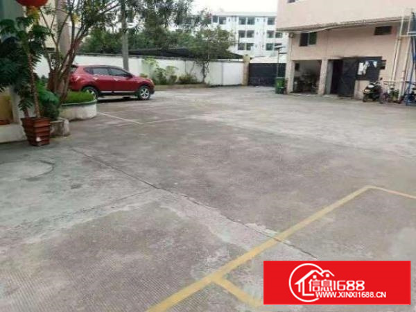 万江客运总站高埗大量标准厂房道滘单层一楼小型仓库招出租