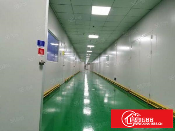 凤岗雁田布心工业区新出800平原房东带红本形象好厂房出租