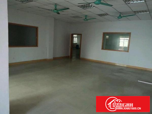 茶山镇东部快速干线独院厂房出租