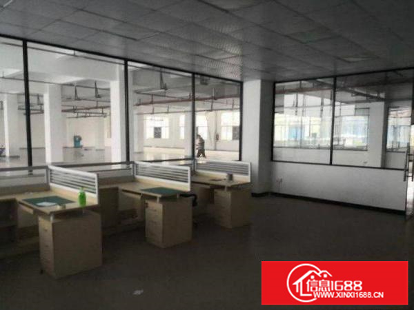 惠城水口标准红本独院厂房11500平米出租（可分租）