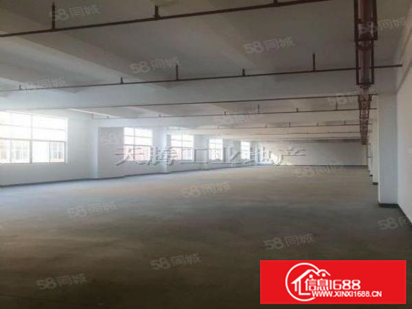 杏坛智富园5楼1170方出租！成熟工业园！租期长！价钱便宜！