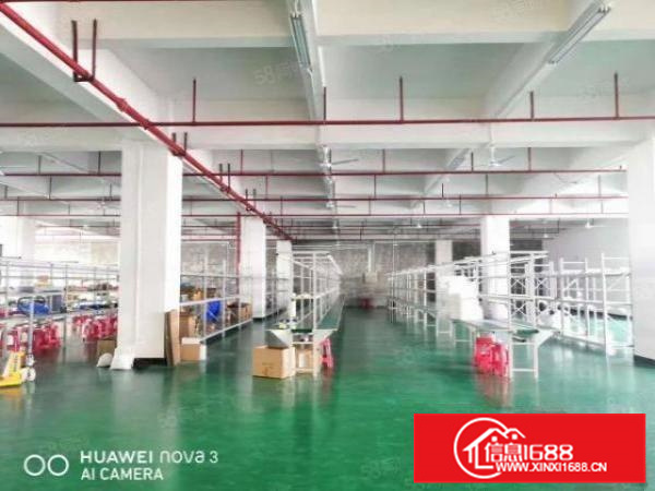 有消防喷淋北滘港1000标准厂房出租证件齐全A