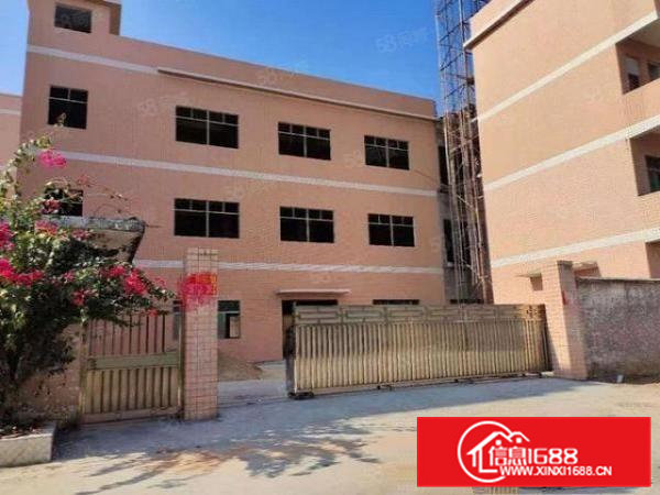 本人厂房大朗松柏朗3层2000平方电梯厂房10元招租