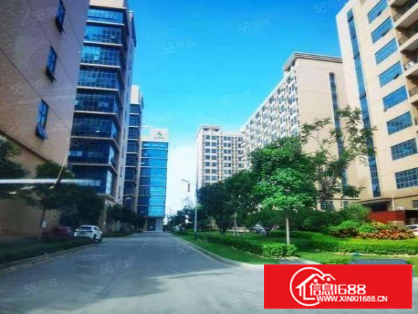 塘厦高新园区空出整层2000平精装修办公室精装修厂房