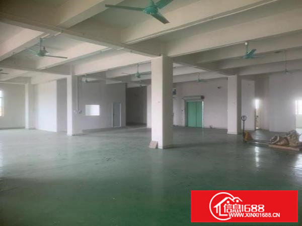 常平镇苏坑村临主路带装修主线到车间